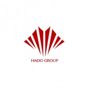 HADO GROUP - cvConnect